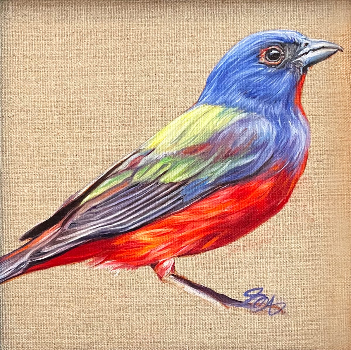 Painted Bunting by Jessica Monroe Art 