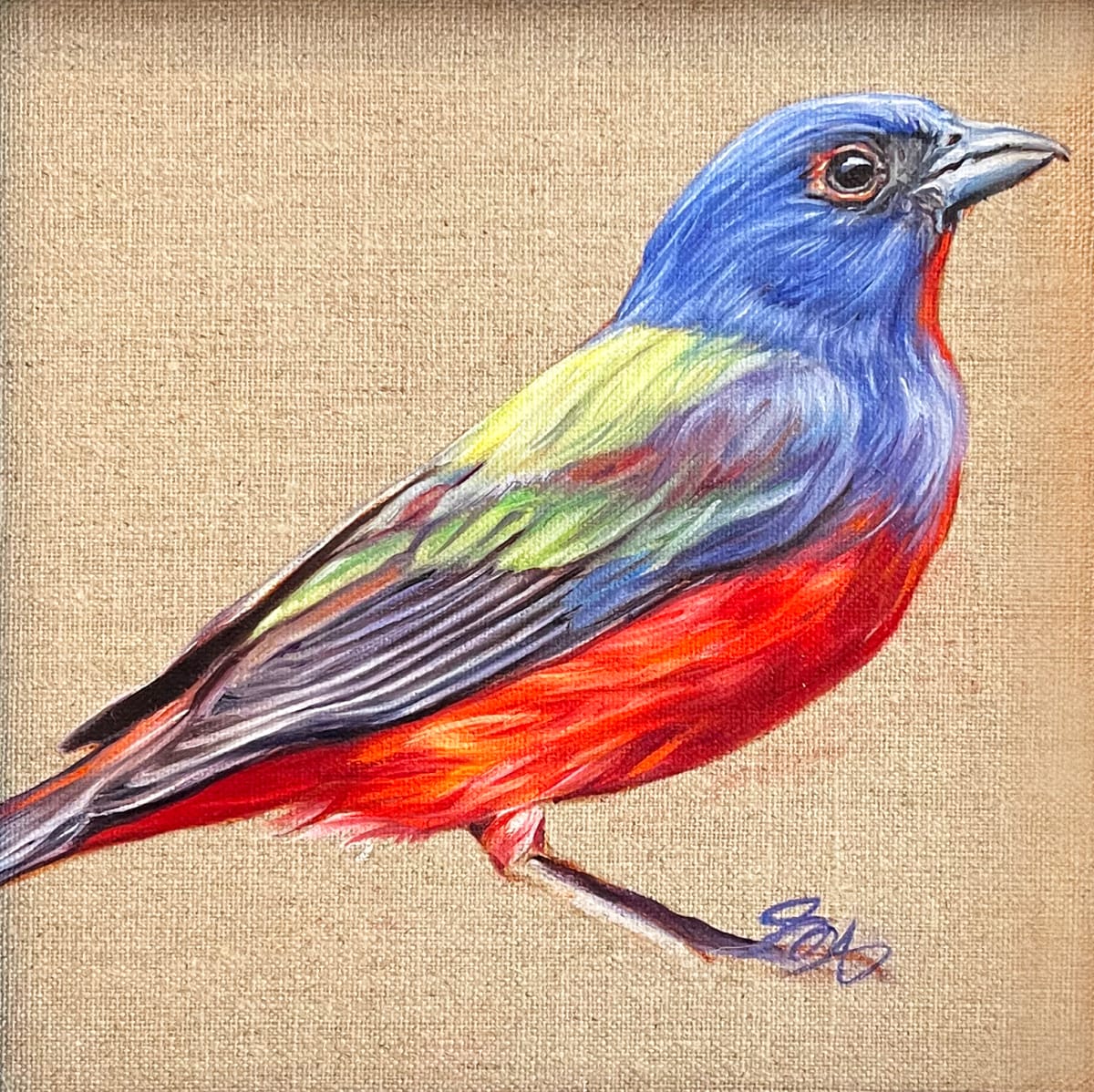Painted Bunting by Jessica Monroe Fine Art 