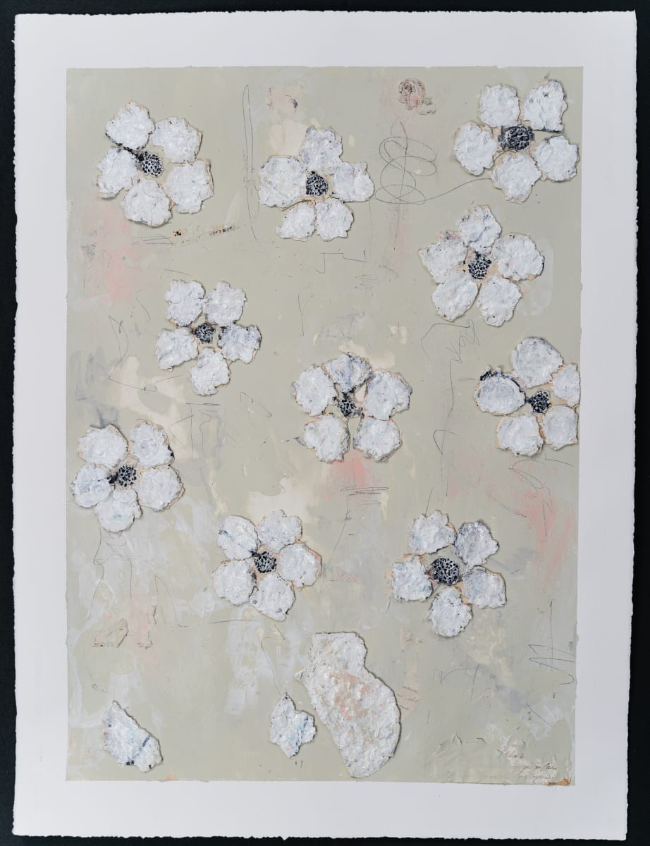 A (re)Planted Bloom  | Los Papis by Grace Lieberman 