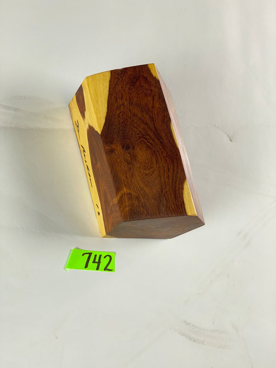 FALLING HOUSE #742 by Doug Moran 