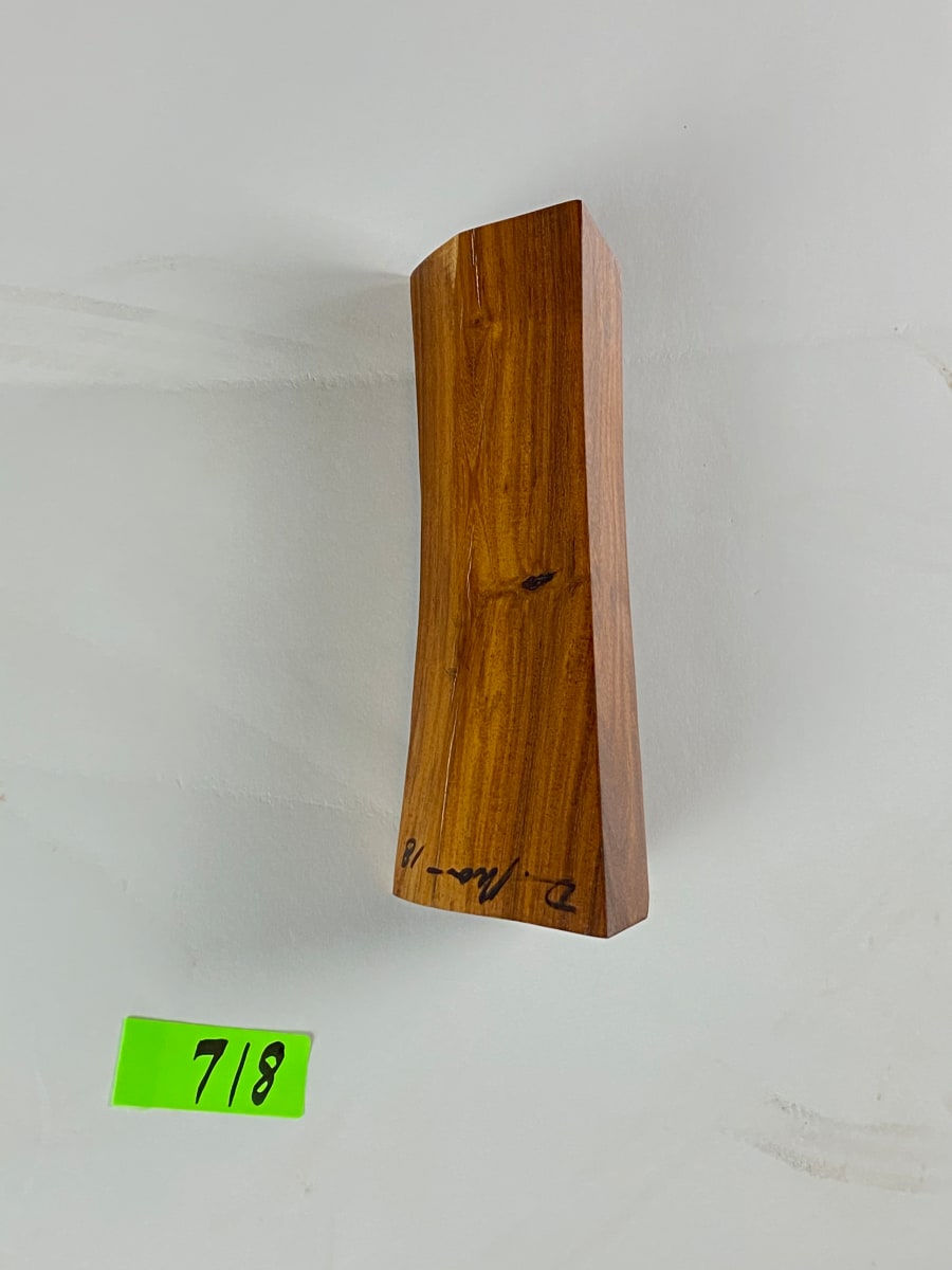 FALLING HOUSE #718 by Doug Moran 