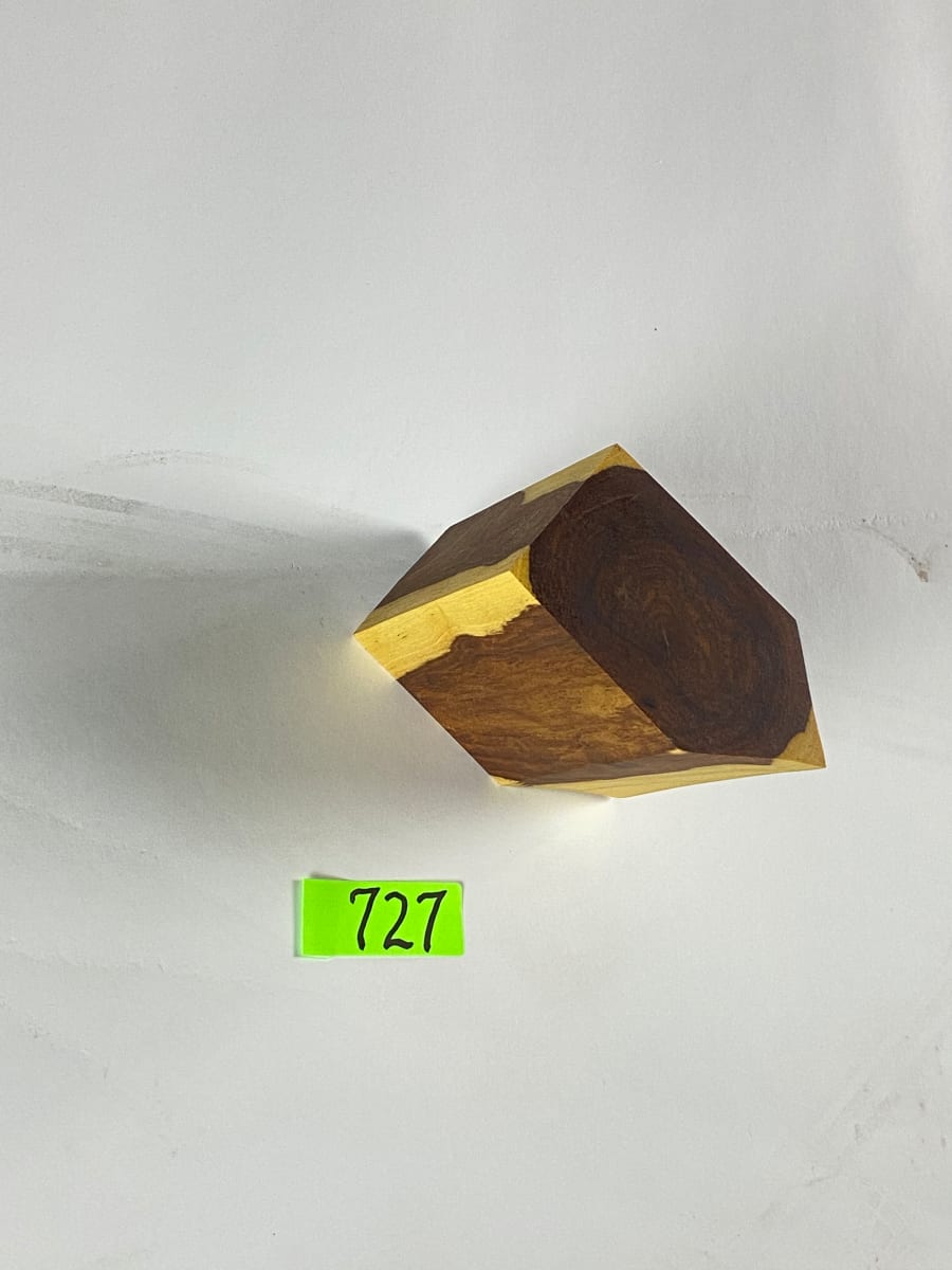 FALLING HOUSE #727 by Doug Moran 