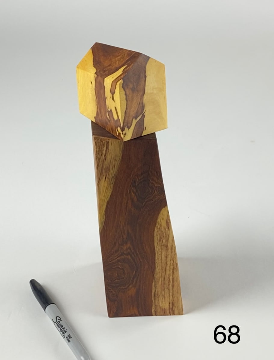 TENNESSEE WALKER by Doug Moran 