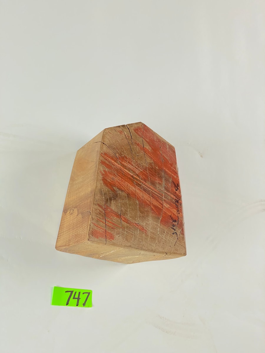 FALLING HOUSE #747 by Doug Moran 