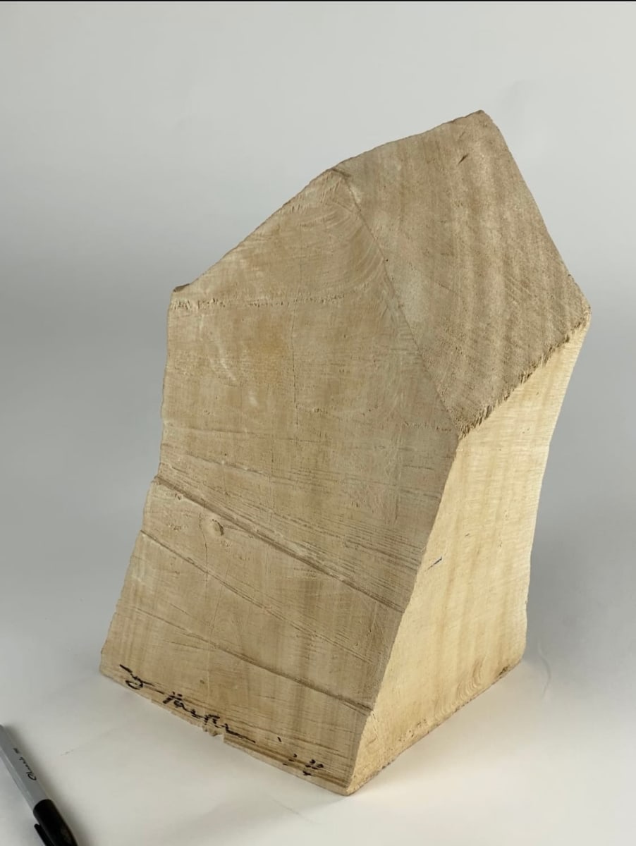 1201 B ALCAZAR by Doug Moran 