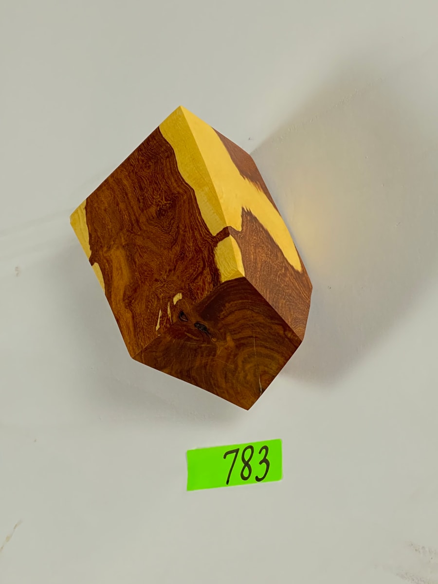 FALLING HOUSE #783 by Doug Moran 