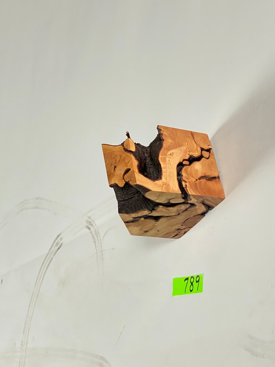 FALLING HOUSE #789 by Doug Moran 