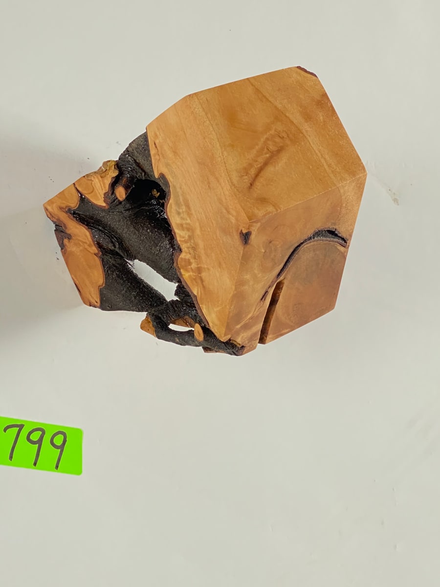 FALLING HOUSE #799 by Doug Moran 