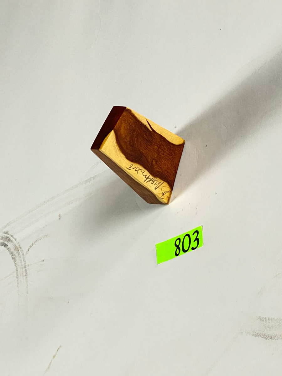 FALLING HOUSE #803 by Doug Moran 