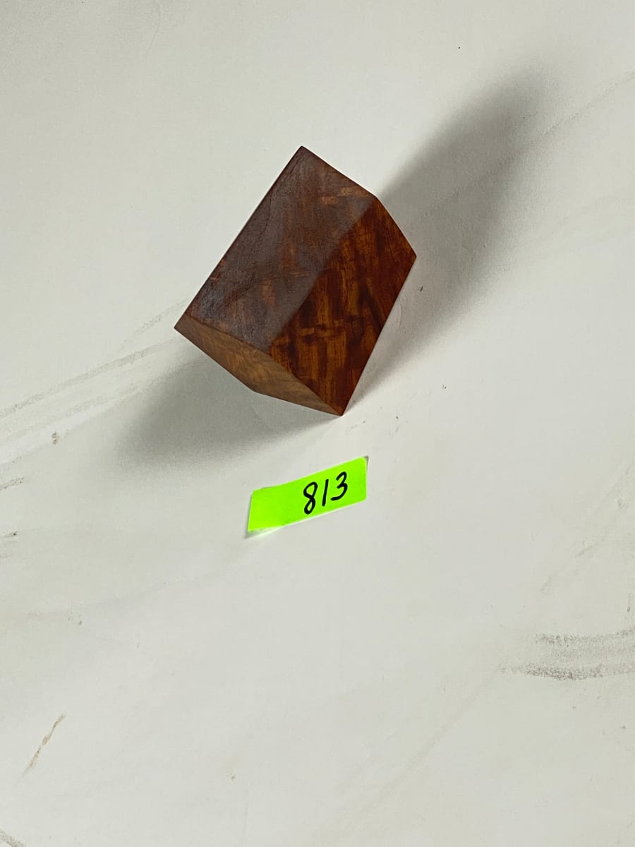 FALLING HOUSE #813 by Doug Moran 