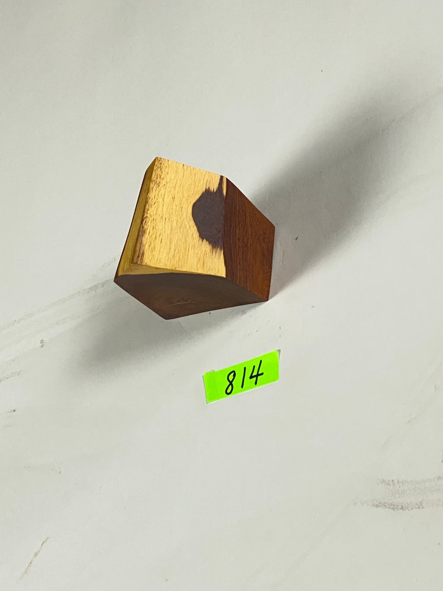 FALLING HOUSE #814 by Doug Moran 