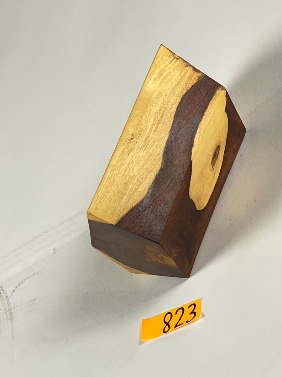 FALLING HOUSE #823 by Doug Moran 