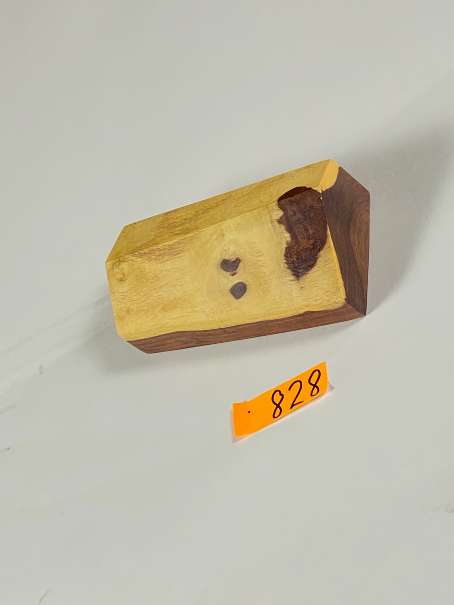 FALLING HOUSE #828 by Doug Moran 