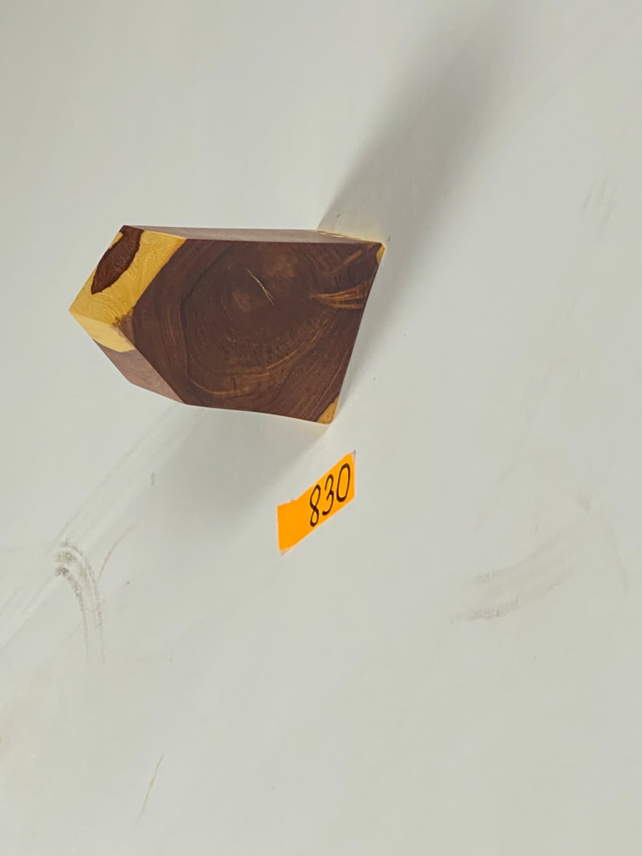 FALLING HOUSE #830 by Doug Moran 