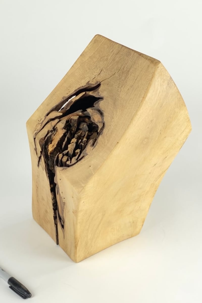 1204 ALCAZAR by Doug Moran 