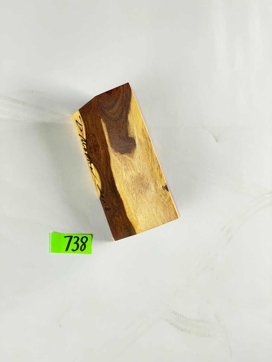 FALLING HOUSE #738 by Doug Moran 