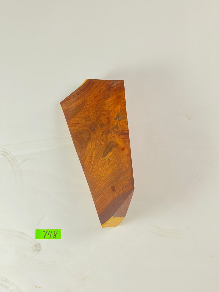 FALLING HOUSE #748 by Doug Moran 