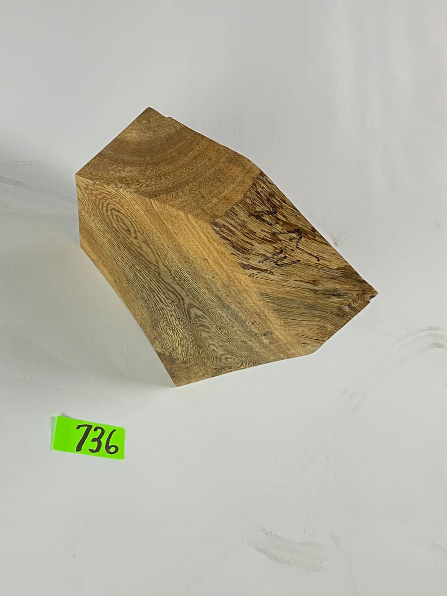 FALLING HOUSE #736 by Doug Moran 