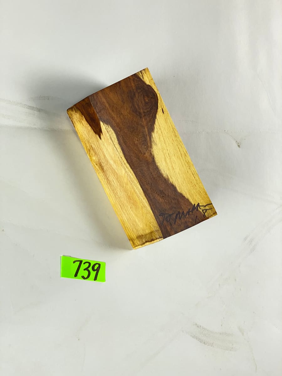 FALLING HOUSE #739 by Doug Moran 