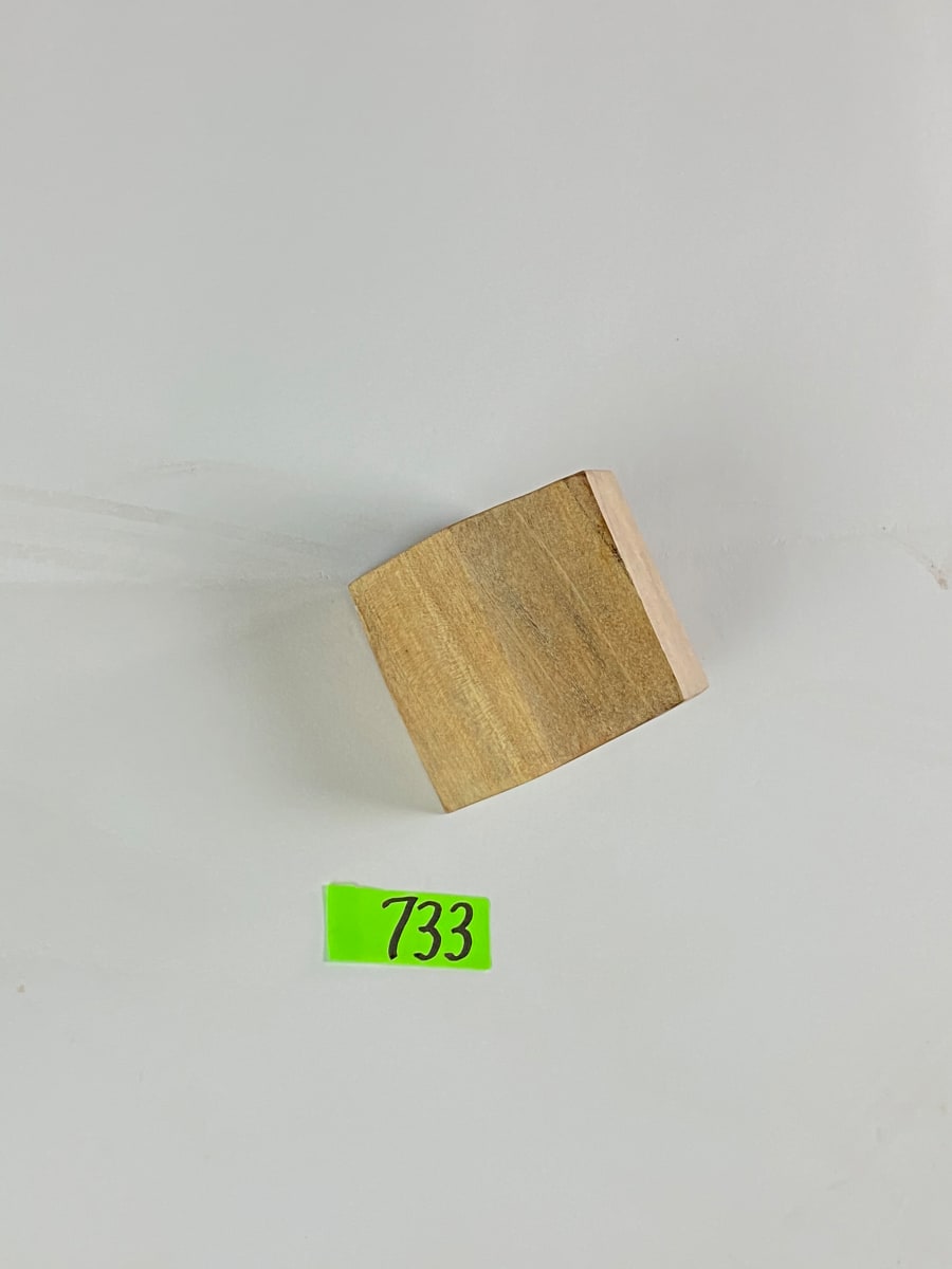 FALLING HOUSE #733 by Doug Moran 