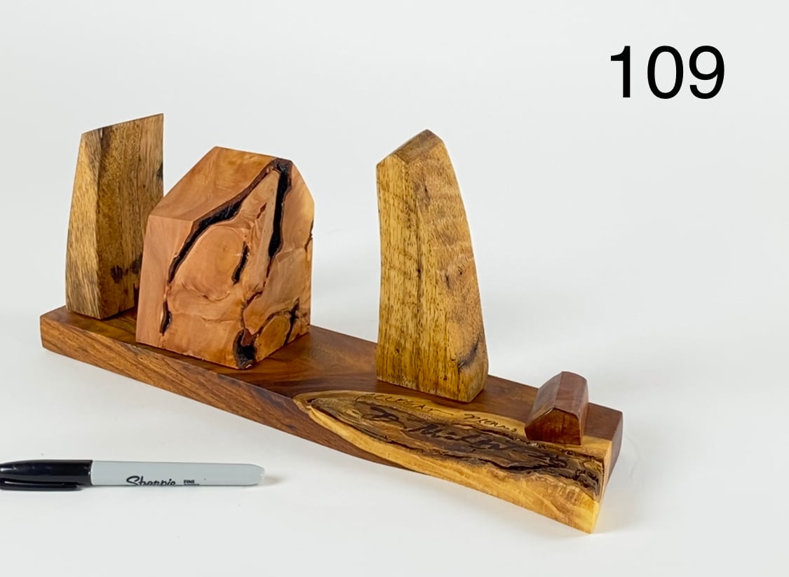 ALLEGAN DREAMS by Doug Moran 