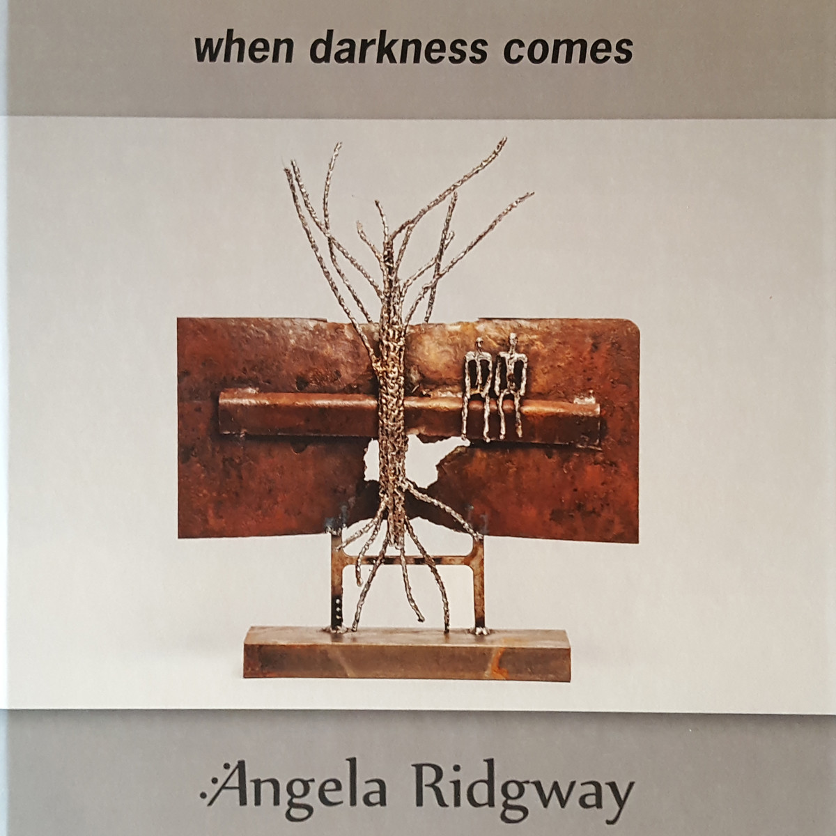 book - when darkness comes - hardcover by Angela Ridgway 