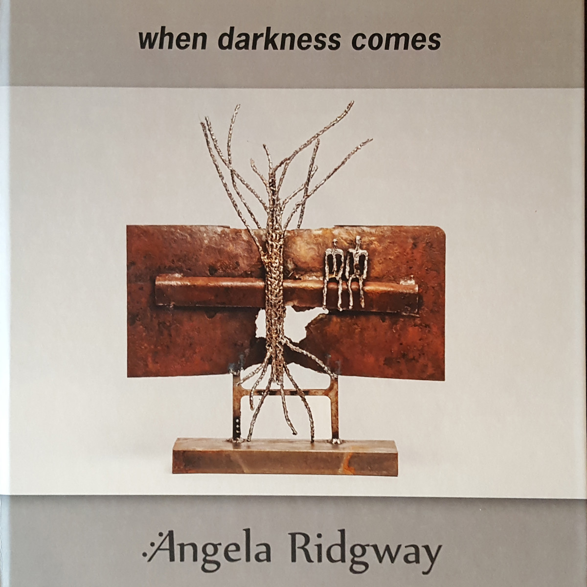 book - when darkness comes - softcover by Angela Ridgway 