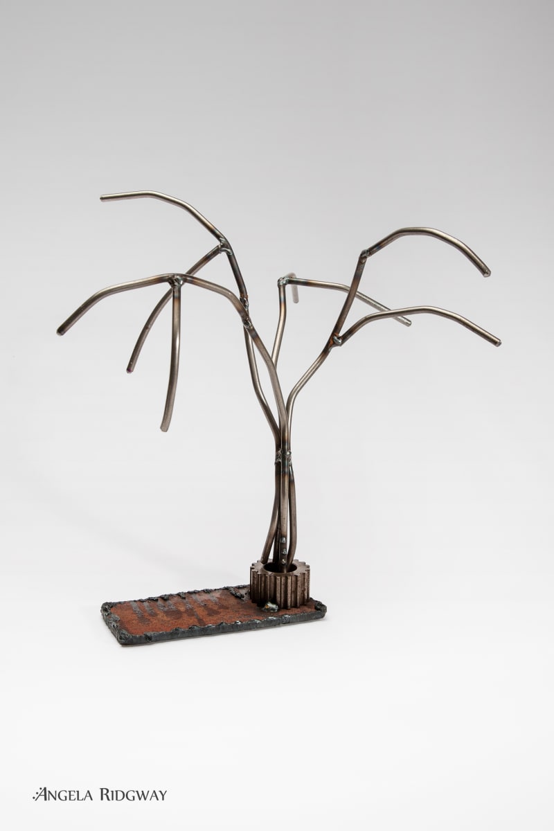 weeping willow #2 by Angela Ridgway 