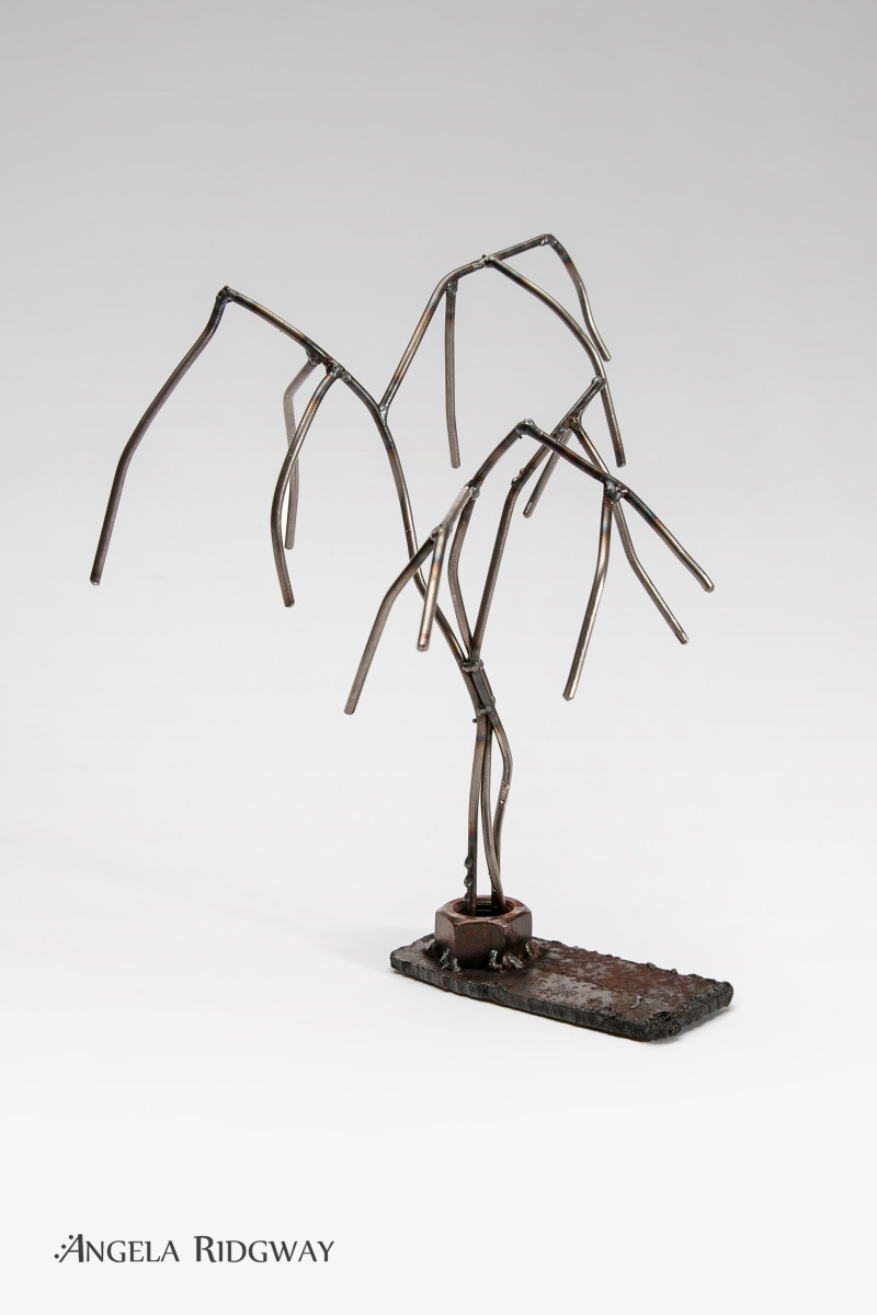 weeping willow #3 by Angela Ridgway 