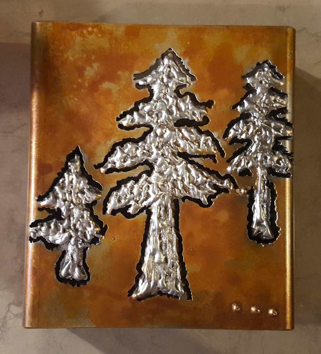 fir tree (small) 9 by Angela Ridgway, Image 1.