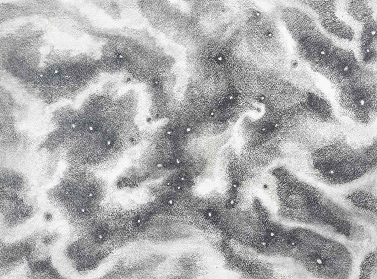 the space around, scattered seeds by Laura Cleary Williams 