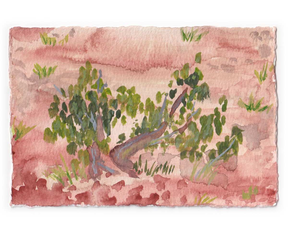 Sedona Watercolor 10 by Mari Pohlman 