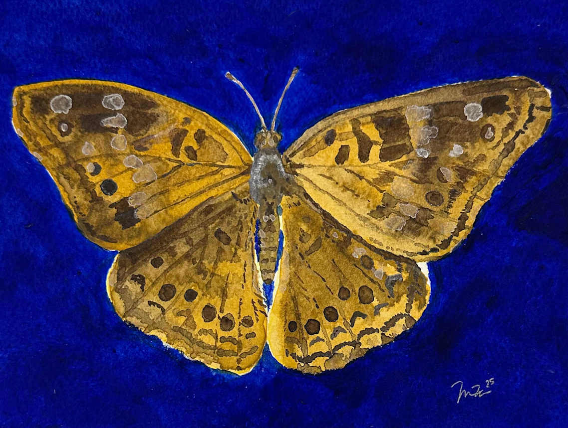 Moth by Mari Pohlman, Image 3.