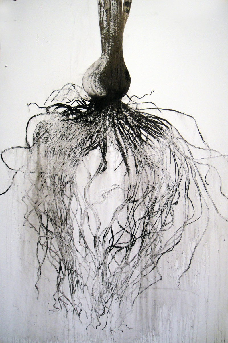 Onion by Heidi Jung 