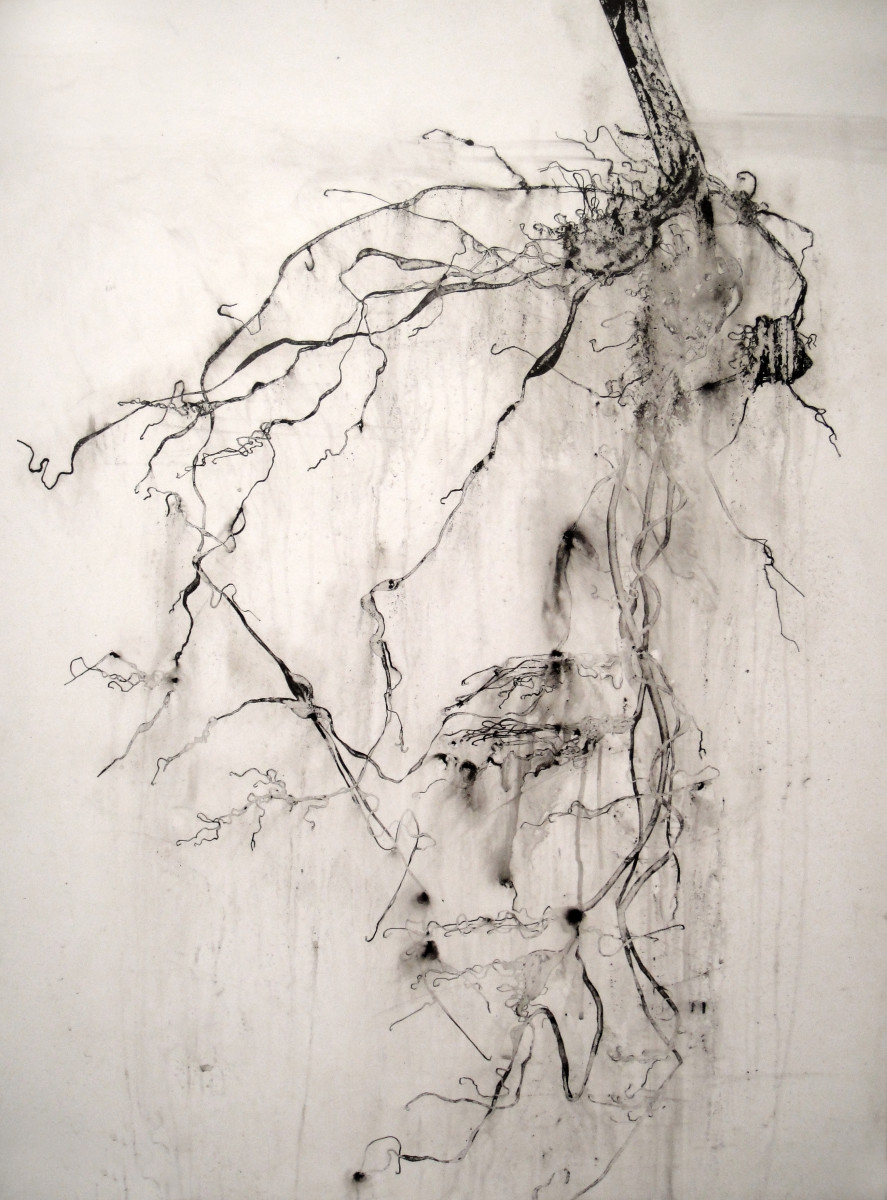 Root II by Heidi Jung 