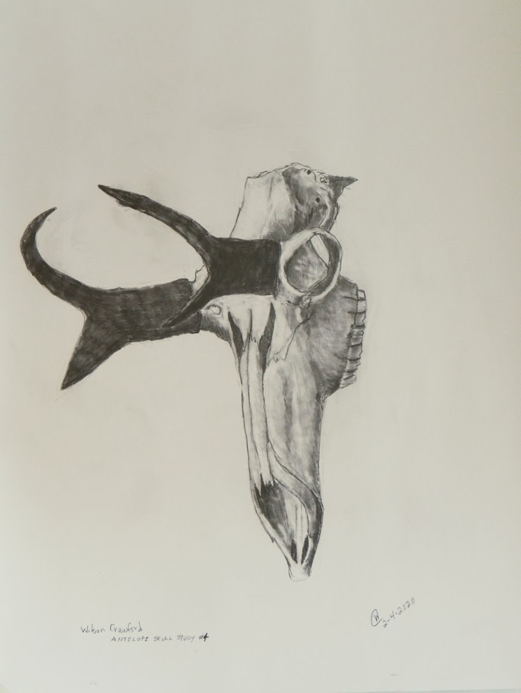 Antelope Skull #4 by Cate Crawford and Wilson Crawford 