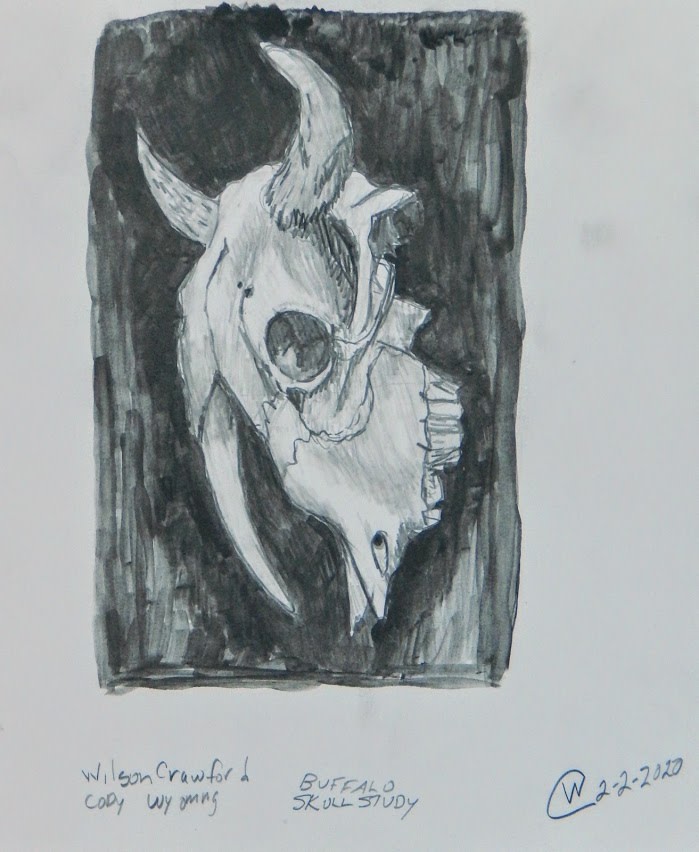Buffalo Skull Study by Cate Crawford and Wilson Crawford 