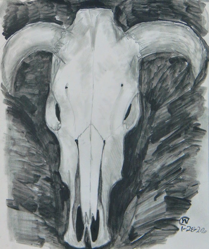 Cow Skull Study #1 by Cate Crawford and Wilson Crawford 