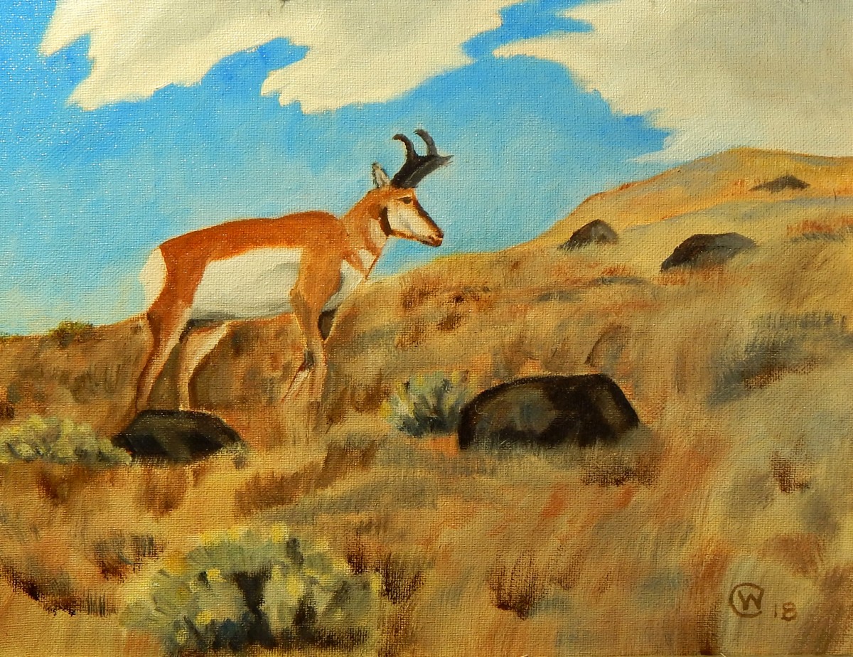 TE Antelope  by Wilson Crawford by Cate Crawford and Wilson Crawford 