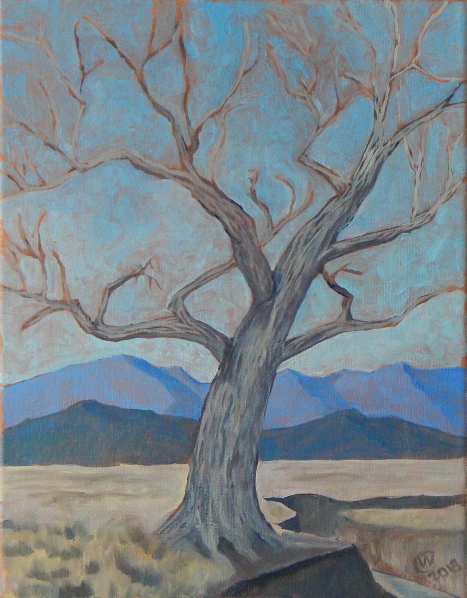 Valley Verde Cottonwood  by Wilson Crawford by Cate Crawford and Wilson Crawford 