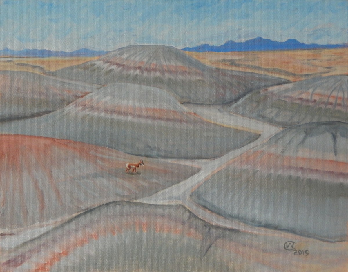 Wyoming Badlands  by Wilson Crawford by Cate Crawford and Wilson Crawford 