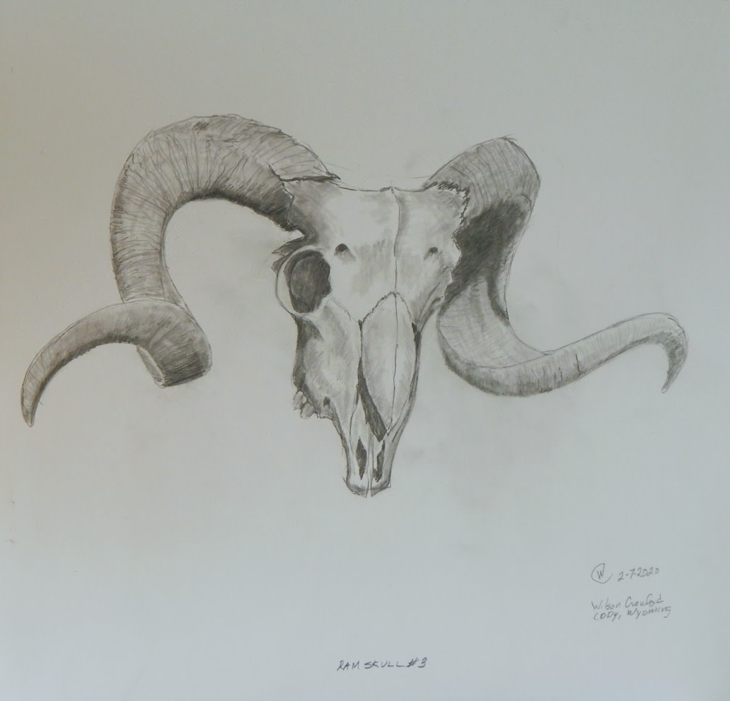 Ram Skull #3 by Cate Crawford and Wilson Crawford 