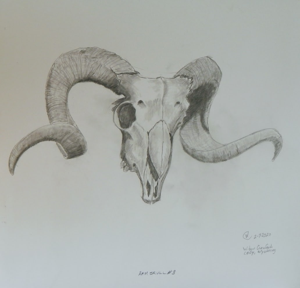 Ram Skull #3 by Cate Crawford and Wilson Crawford, Image 1.