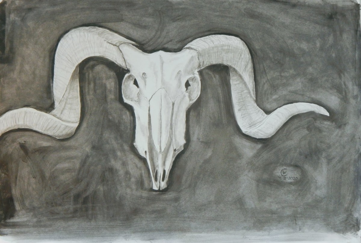 Ram Skull on Gray by Cate Crawford and Wilson Crawford 