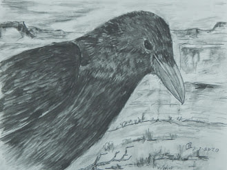 Raven Study #1 by Cate Crawford and Wilson Crawford 