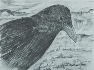 Raven Study #1 by Cate Crawford and Wilson Crawford, Image 1.