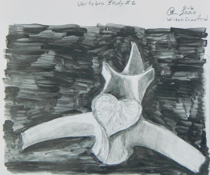 Verebra Study #2 by Cate Crawford and Wilson Crawford, Image 1.
