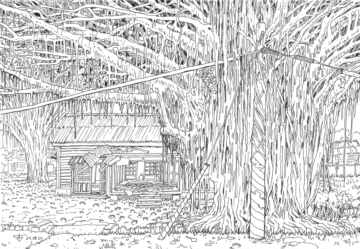 Tonxin park, huge tree by Gene Bond 