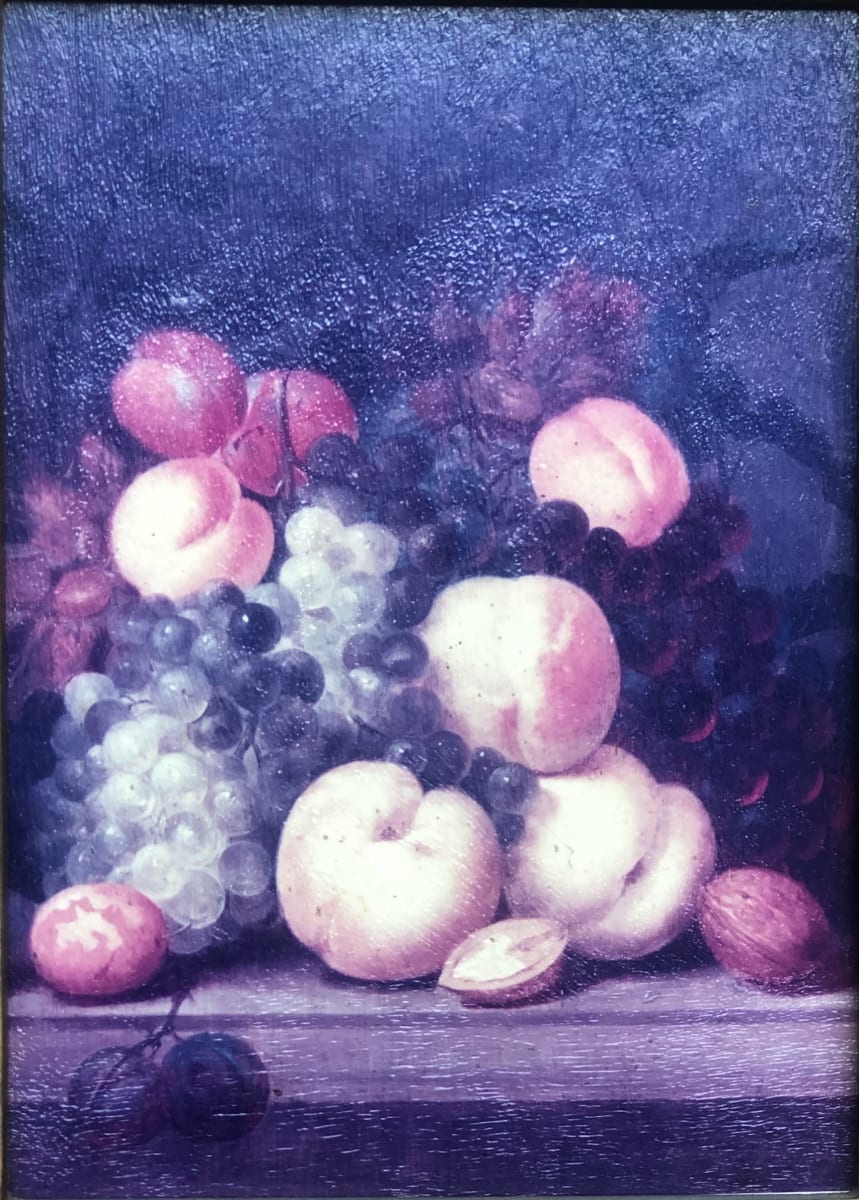 Fruits by Van Os 