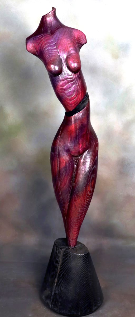 Anitra's Dance by Luke Lichterman 